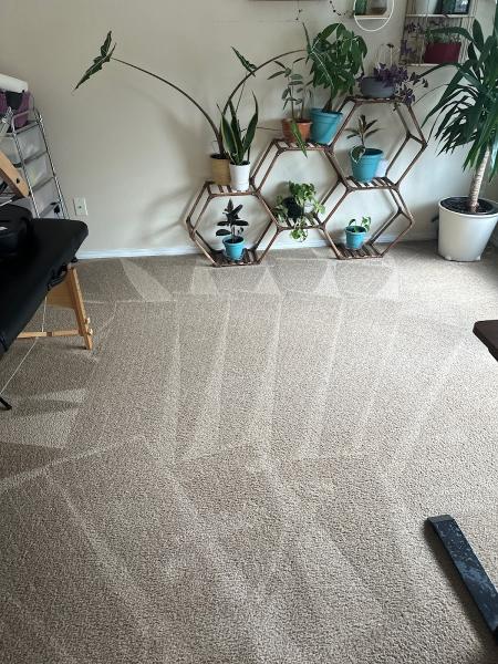 Portland NW Carpet Cleaning