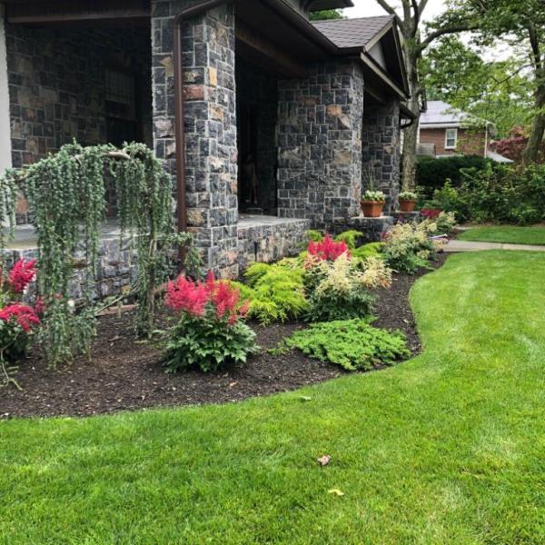Bendavid Landscape Design