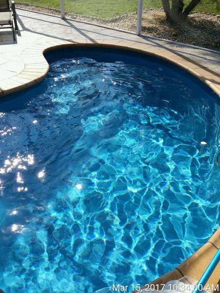 Water Clear Pools