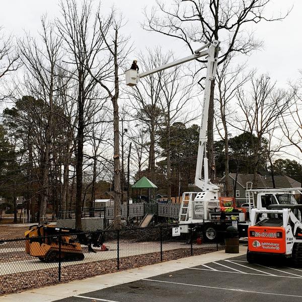 Jedidiah Sawyer Tree Service