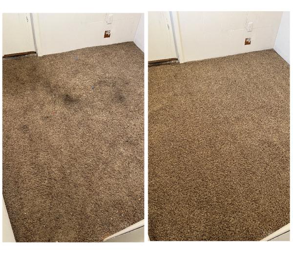Benchmark Carpet Cleaning