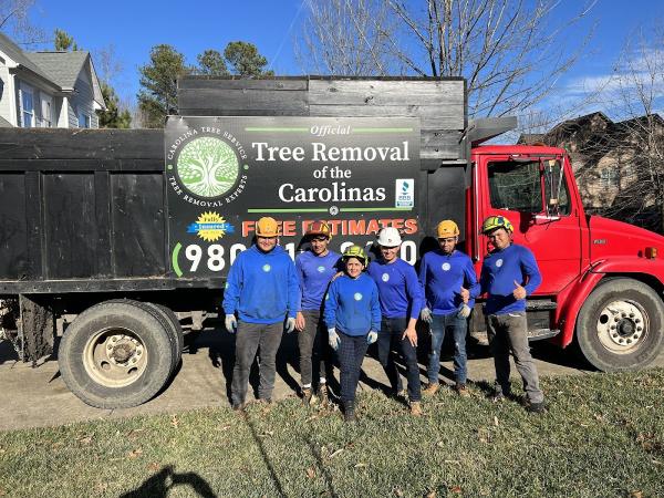 Carolina Tree Service