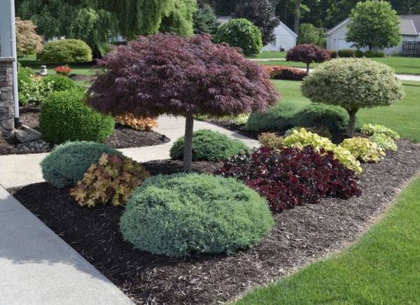 Coast 2 Coast Lawns