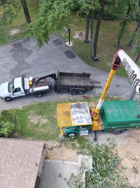 Smallwood Tree Experts
