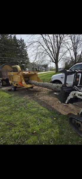 Smallwood Tree Experts