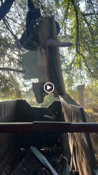 Advance Tree Removal LLC