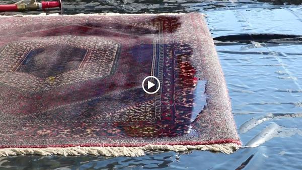 Oriental Rug Cleaning Plant