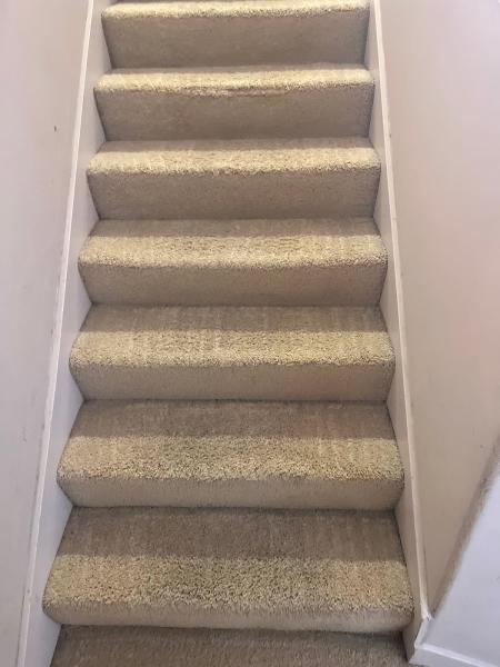 Keep It Clean America Tile & Carpet Cleaning