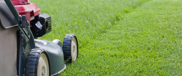 The Lawn Firm + Executive Landscapes