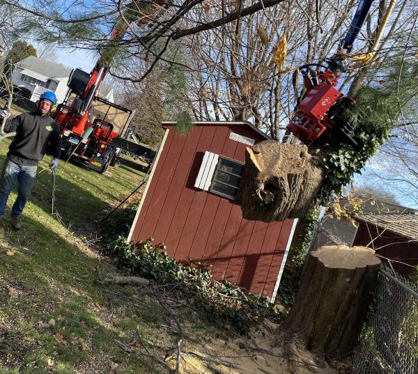 Bogan's Tree Service