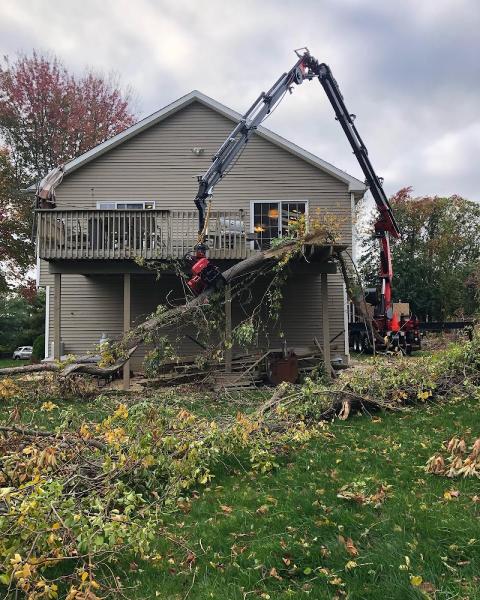 Bogan's Tree Service