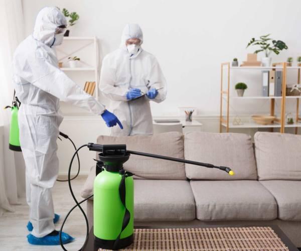 Killer B's Total Pest Control