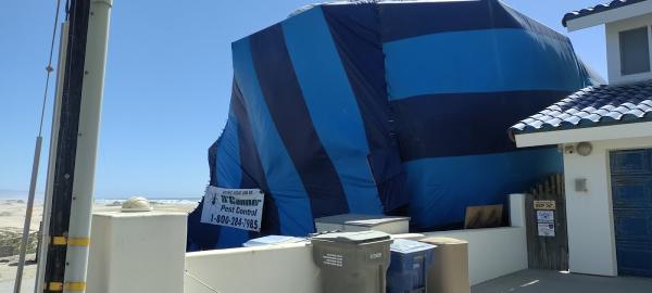 O'connor Pest Control Central Coast