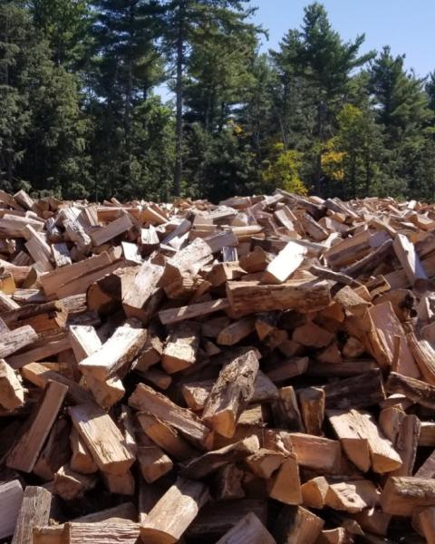 GTL Forest Products