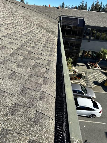 Flawless Gutter Screens