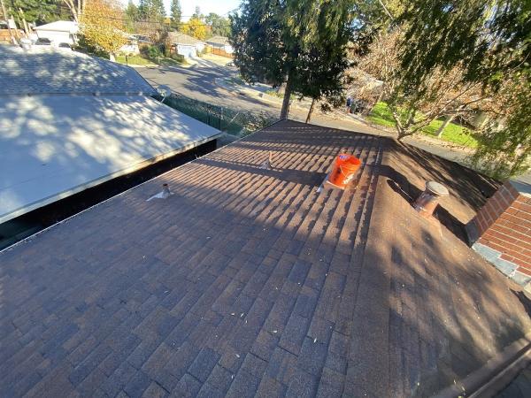 Flawless Gutter Screens
