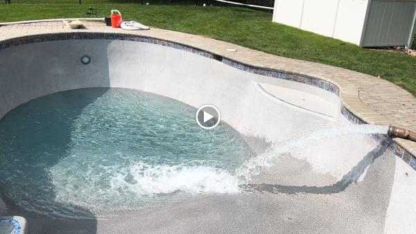 The Pool Doctor