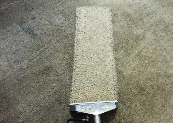 First Choice Carpet Cleaning