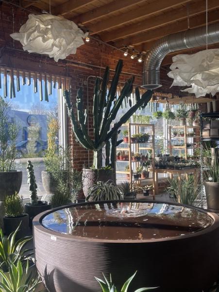 Birdsall & Co. the Garden Boutique