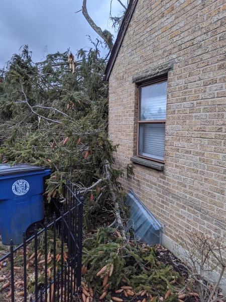 Cundiff Town and Country Tree Service
