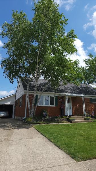 Blue Knight Roofing and Restoration