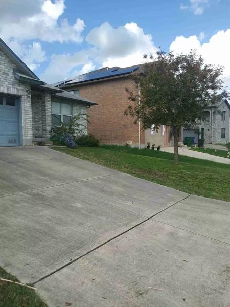 All American Lawns and Tree Trimming