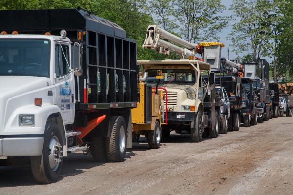 Arbortech Tree Services