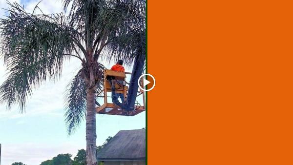 Sharp Cut Tree Service