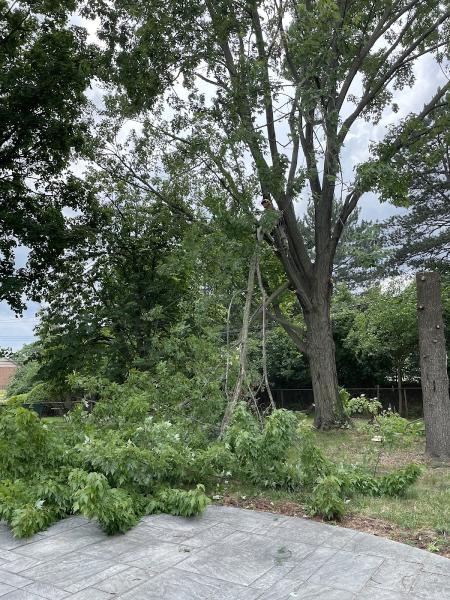 WB Landscape Services