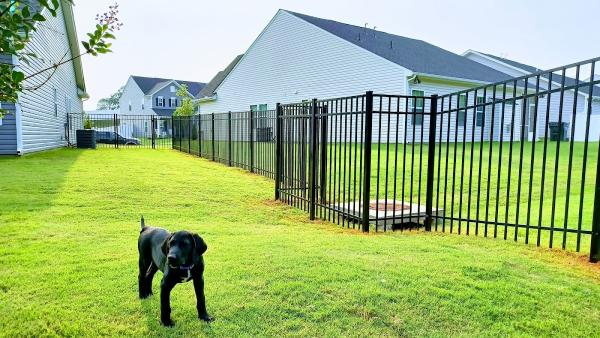 American Fence Company
