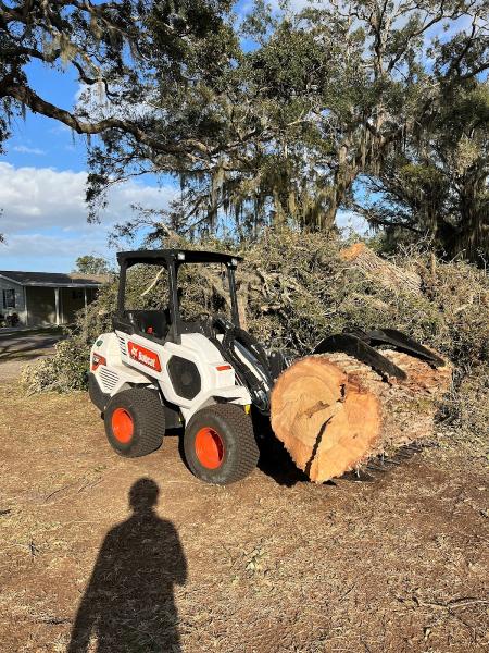 Cam's Trees LLC