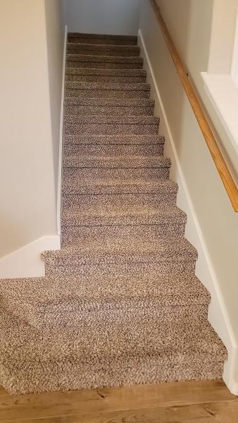 Protouch Cleaners
