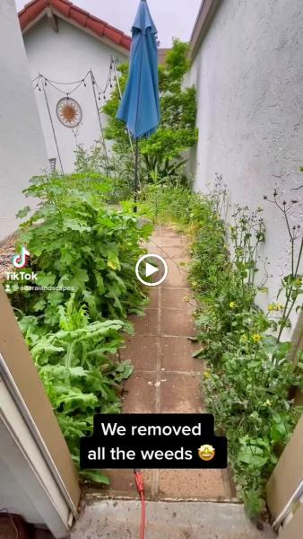 Adara Landscapes