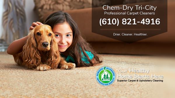 Chem-Dry Tri-City
