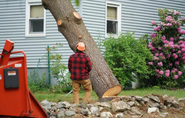 M1 Landscaping LLC