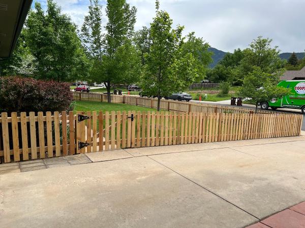 Denver Fence Staining