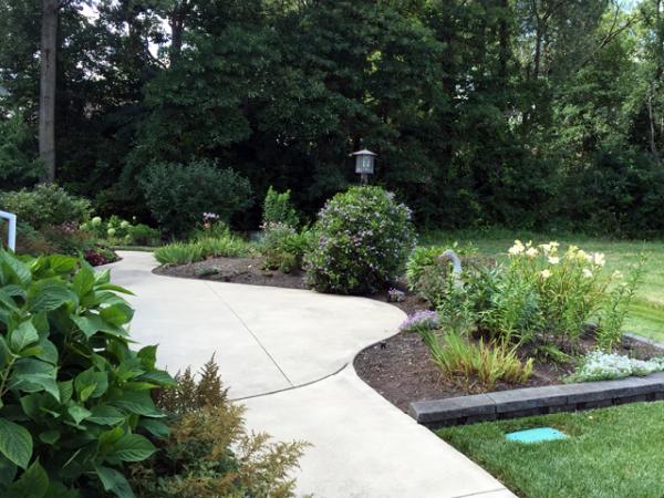 Pro Edge Lawn Care