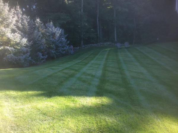 Maintenance Free Landscapes