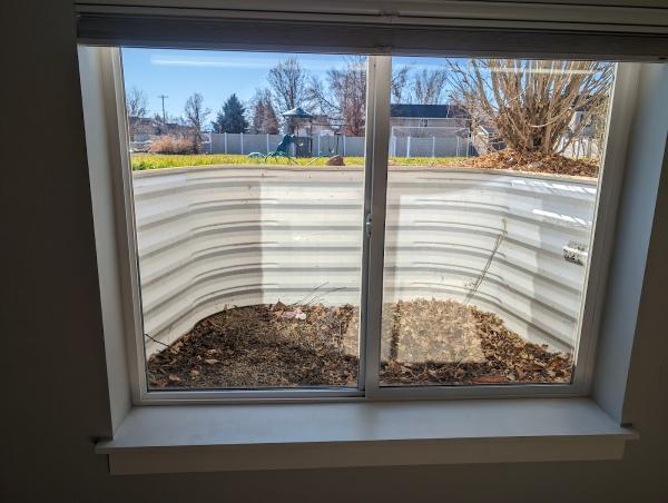 Petes Window Washing