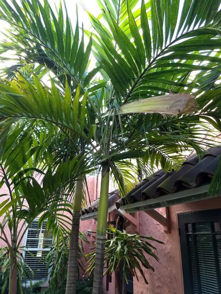 Kelley's Tree Service Inc.