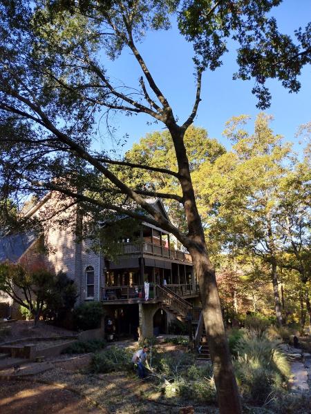 Leonard Philbeck Tree Service