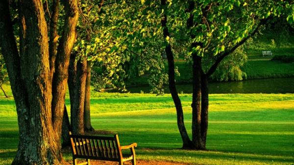 Gibson Lawn Care