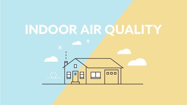 Miami Mold & Water Solutions LLC
