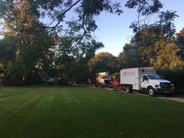 CW Arborists