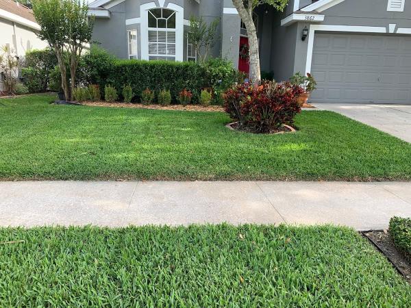 Drake Lawn & Pest Control