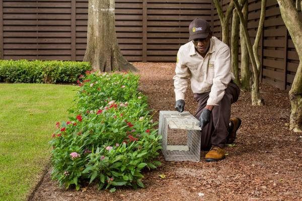 Drake Lawn & Pest Control