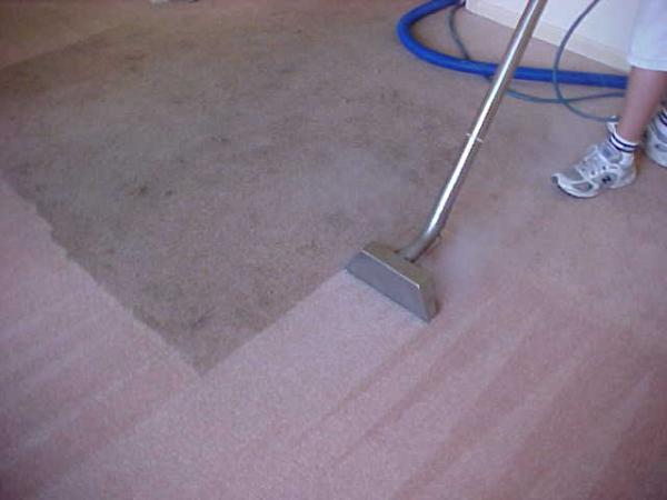 Carpet Medic