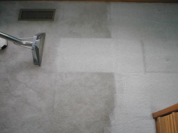 Carpet Medic