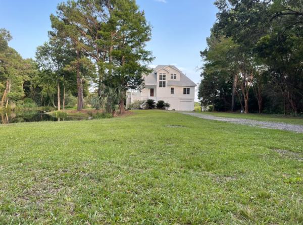 Lowcountry Treetops