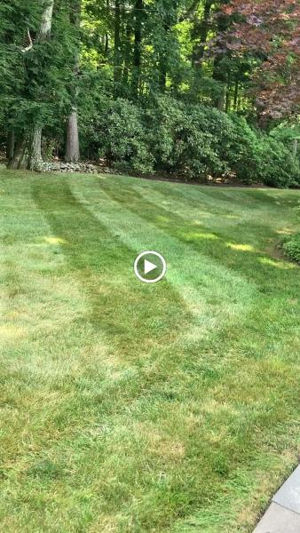 Affordable Landscaping LLC
